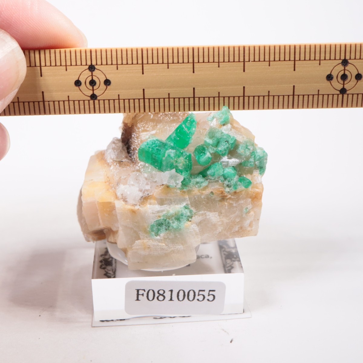 Muzo鉱山 エメラルド | 鉱物標本,ハ行,ベリル/緑柱石 | ほたるみねらる