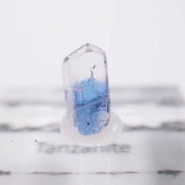 ����˥ҥ륺�� ���󥶥ʥ���