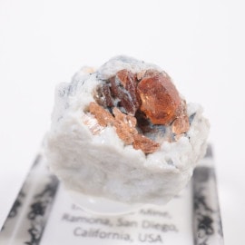 Little Threeۻ ڥƥ󥬡ͥå