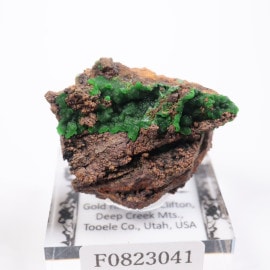 Gold Hill�ۻ� ���˥��륵����