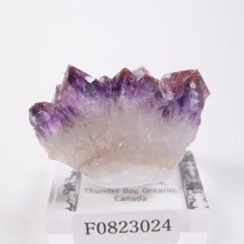 Moon Lightۻ ᥷withإޥ