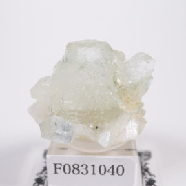 ����ɻ� ���ݥե��饤��