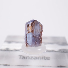 ����˥ҥ륺�� ���󥶥ʥ���