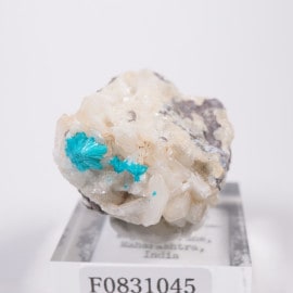 ����ɻ� ���Х󥵥���