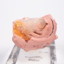 �ᥭ������ ���ѡ���