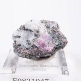 �������� ��������