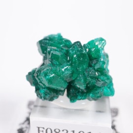 ダイオプテーズ/翠銅鉱」の取扱商品一覧 - ほたるみねらる