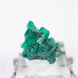 ���󥴻� �������ץơ���