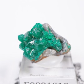 ���󥴻� �������ץơ���