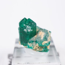 ���󥴻� �������ץơ���