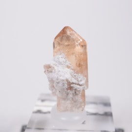 �����顼������ɹۻ� �ȥѡ���