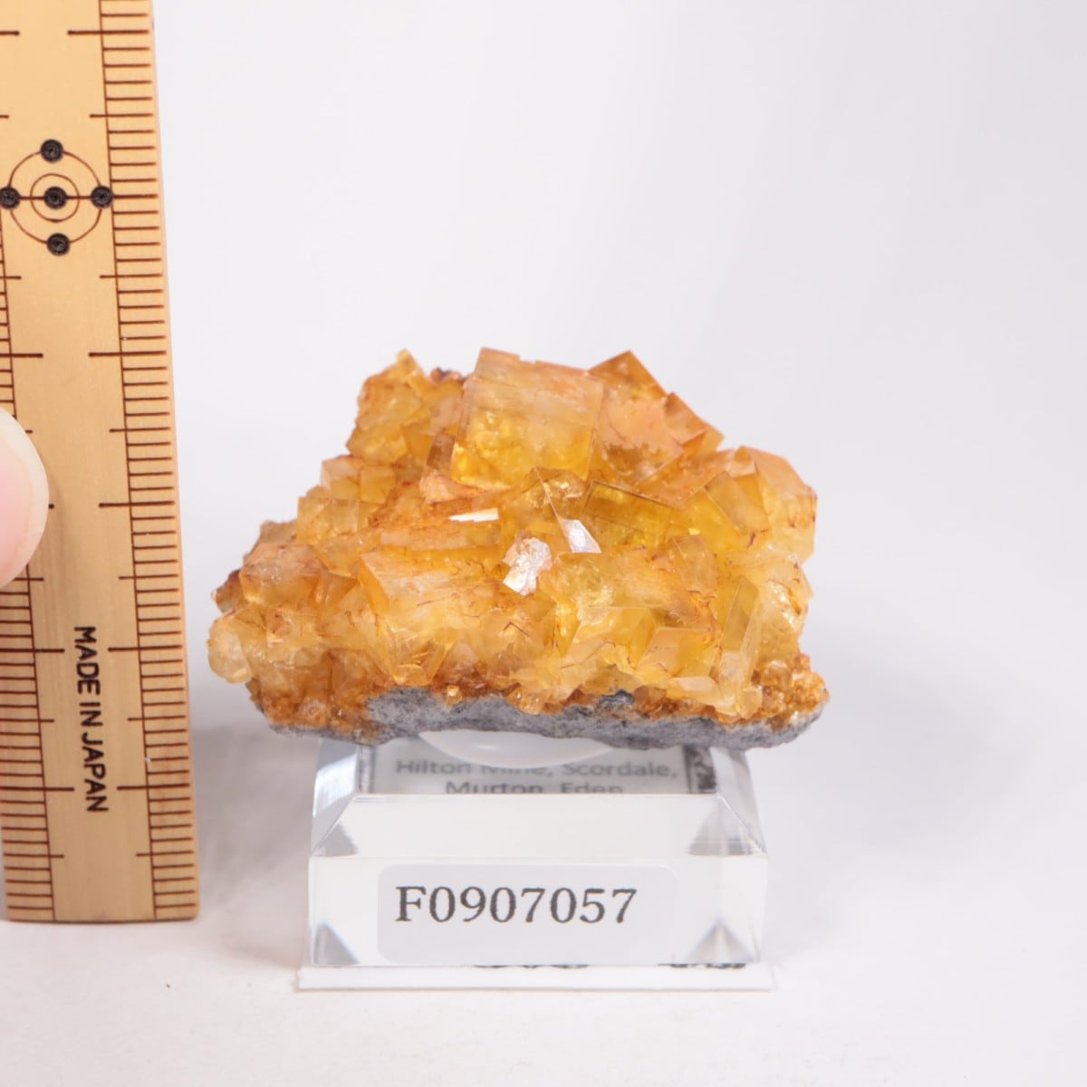 閉山ヒルトン鉱山　フローライト 蛍石　鉱物　鉱物標本 原石 fluorite ヒルトン鉱山 フローライト | 鉱物標本,ハ行,フローライト/蛍石