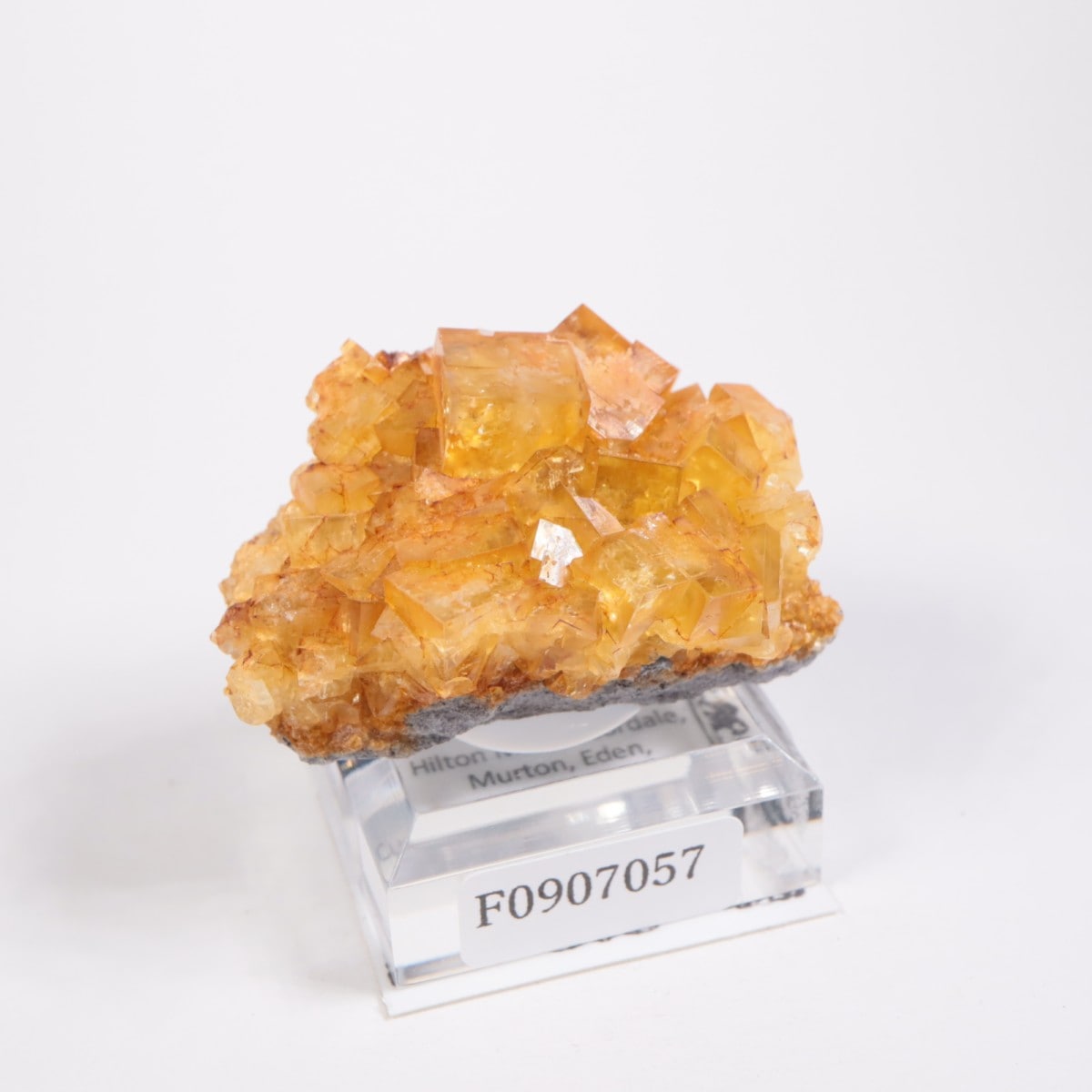 閉山ヒルトン鉱山　フローライト 蛍石　鉱物　鉱物標本 原石 fluorite ヒルトン鉱山 フローライト | 鉱物標本,ハ行,フローライト/蛍石