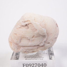 �������ȥ�ꥢ�� �����륪�ѡ���