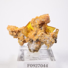 ウルフェナイト ウルフェナイト【Wulfenite】メキシコ産 | PEANUTS MINERALS