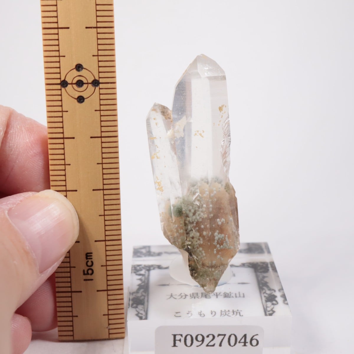 大分県尾平鉱山 まりも水晶 | 鉱物標本,カ行,クォーツ/水晶 | ほたるみ