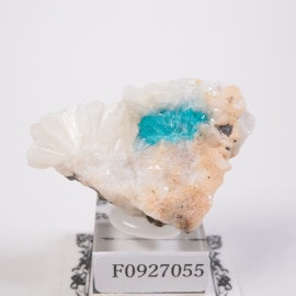 ����ɻ� ���Х󥵥���