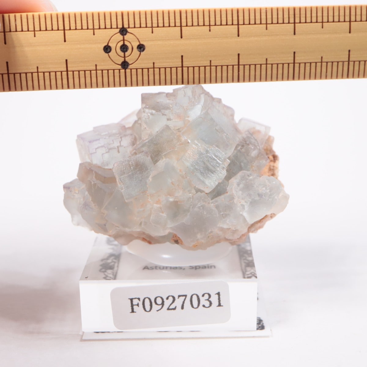 フローライト標本 フローライト イリノイ の商品一覧- 鉱物標本・隕石標本販売の