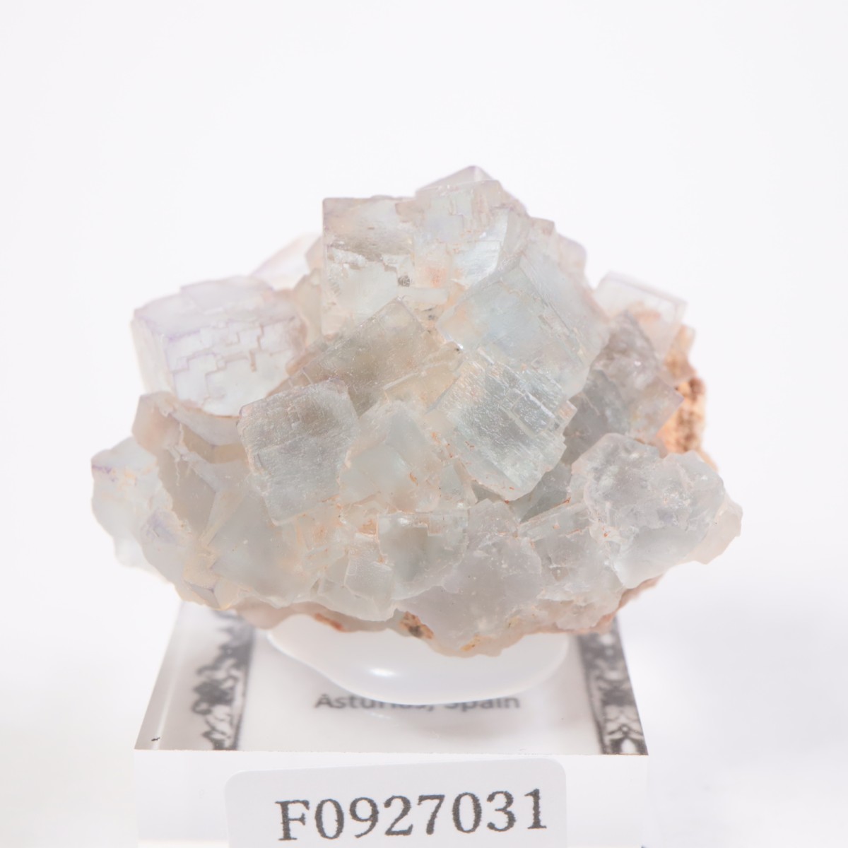 スペイン産 フローライト | 鉱物標本,ハ行,フローライト/蛍石