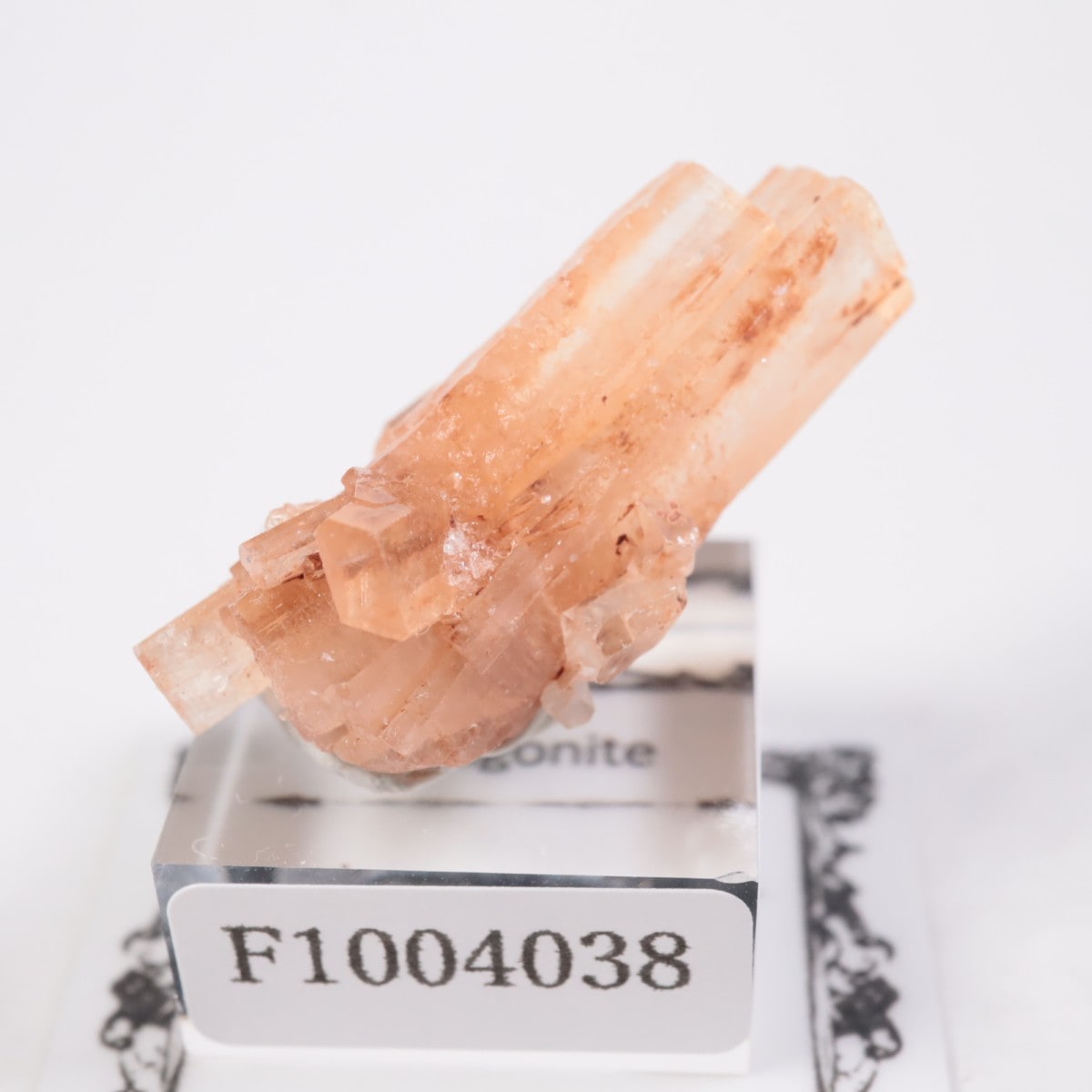 モロッコ産 アラゴナイト | 鉱物標本,ア行,アラゴナイト/霰石 | ほたる