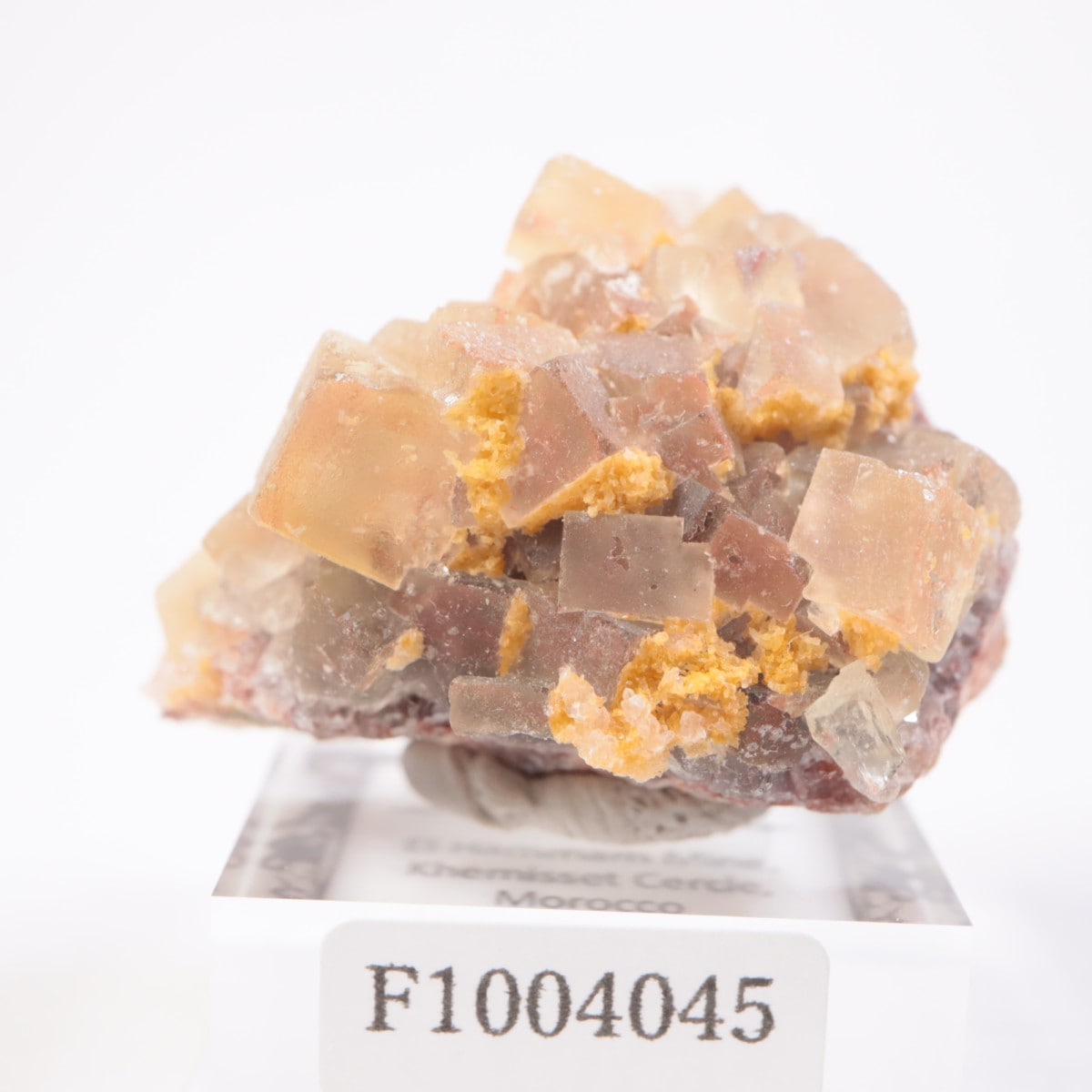 鉱物標本　El Hamman 産　フローライト エルハマン鉱山産 フローライト | 鉱物標本,ハ行,フローライト