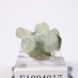 ����å��� �ץ�ʥ���