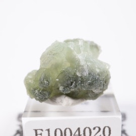 ����å��� �ץ�ʥ���