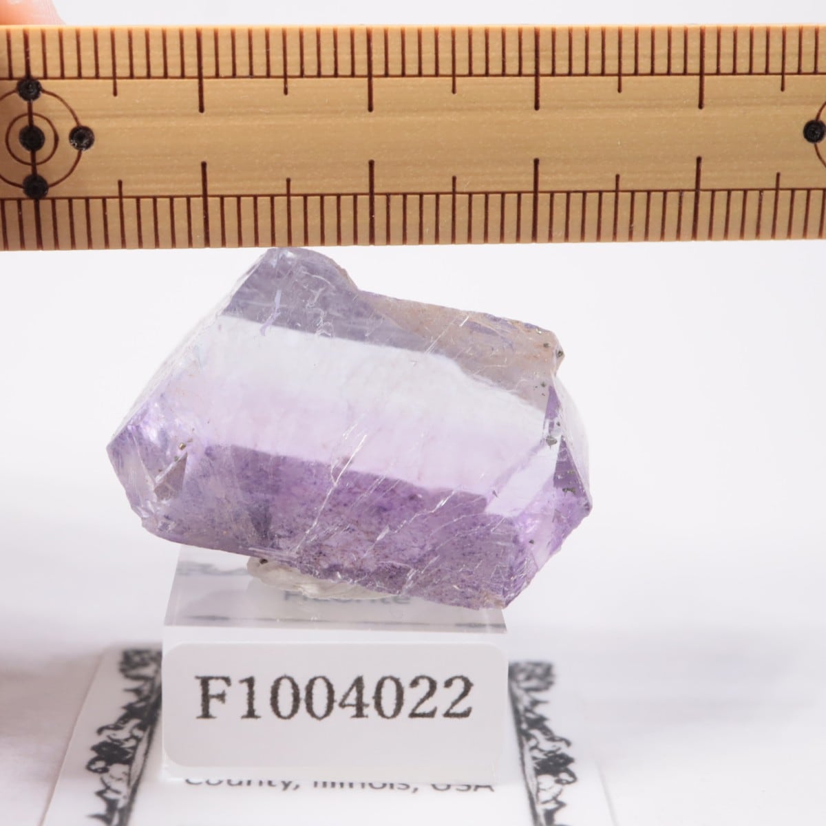 イリノイ産　フローライトチップ　約92g イリノイ州 フローライト（チップ） | 鉱物標本,ハ行,フロー