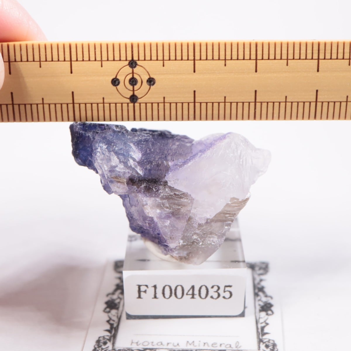 メキシコ産 フローライト | 鉱物標本,ハ行,フローライト/蛍石 | ほたる