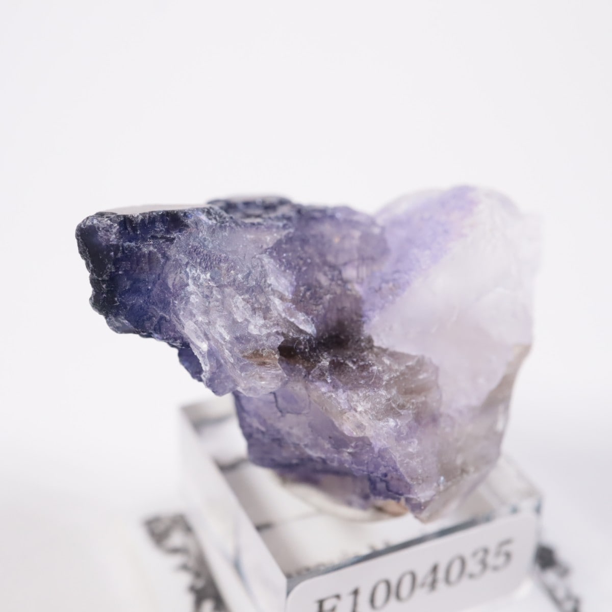 メキシコ産 フローライト | 鉱物標本,ハ行,フローライト/蛍石 | ほたる