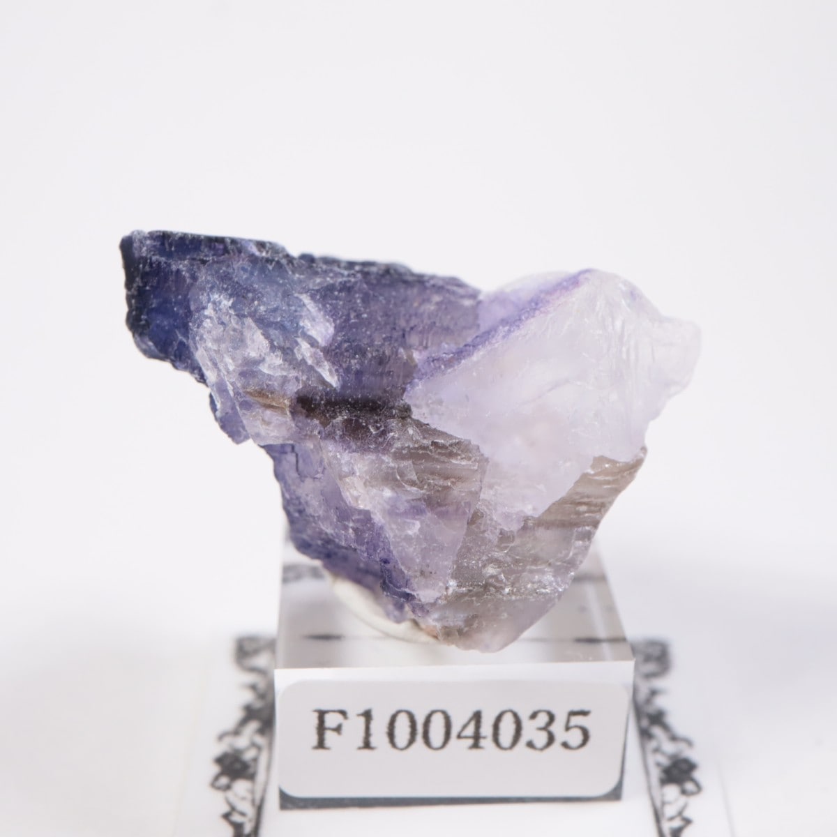 メキシコ産 フローライト | 鉱物標本,ハ行,フローライト/蛍石 | ほたる