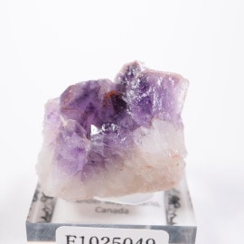 Moon Lightۻ ᥷withإޥ