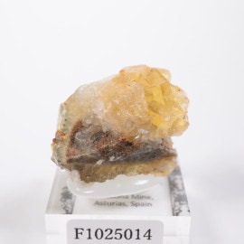 �⥹���ʹۻ� �ե����饤��