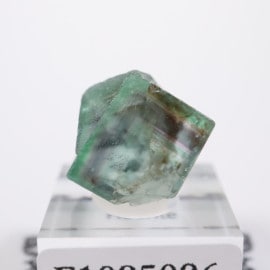 430 ウルフェナイト オレンジ アリゾナ産 アリゾナ州産 ウルフェナイト | 鉱物標本,ア行,ウルフェナイト