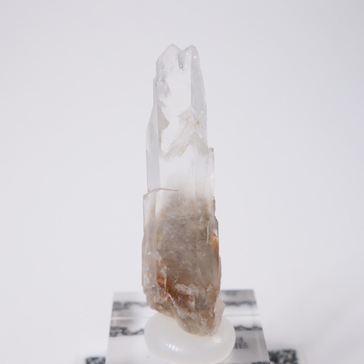 筋子醤油2k 中とろ2柵 ジル様専用 【公式通販】