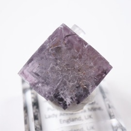 Purple Rain Pocket ե饤