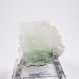 ����ɻ� ���ݥե��饤��