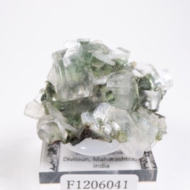 ����ɻ� ���ݥե��饤��