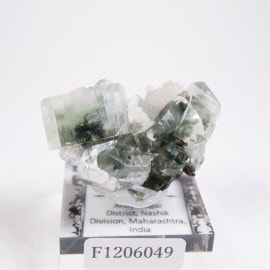 ����ɻ� ���ݥե��饤��