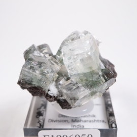 ����ɻ� ���ݥե��饤��