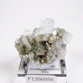 ����ɻ� ���ݥե��饤��