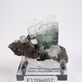 ����ɻ� ���ݥե��饤��