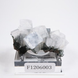 ����ɻ� ���ݥե��饤��