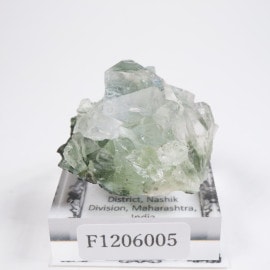 ����ɻ� ���ݥե��饤��