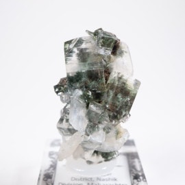 ����ɻ� ���ݥե��饤��