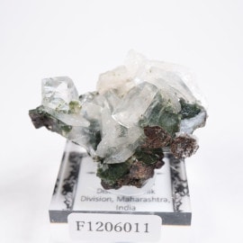 ����ɻ� ���ݥե��饤��