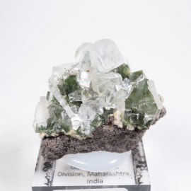 ����ɻ� ���ݥե��饤��