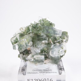 ����ɻ� ���ݥե��饤��