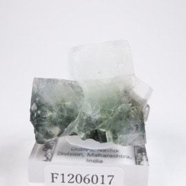 ����ɻ� ���ݥե��饤��