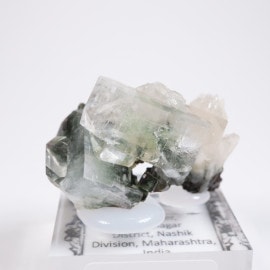 ����ɻ� ���ݥե��饤��